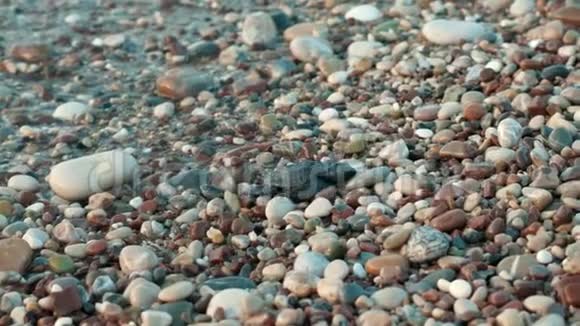 新生的海龟从海浪中逃出来到达了旱地野生海洋动物视频的预览图