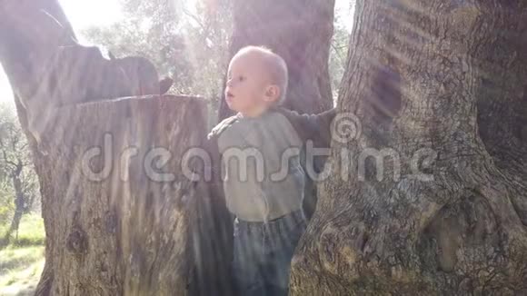 可爱的小男孩爬树视频的预览图