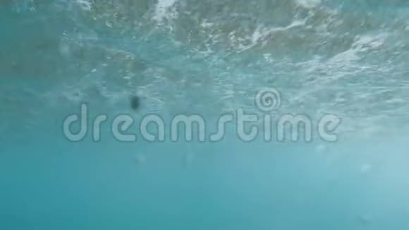 阳光明媚的海面下翻滚的海浪上的4k视频视频的预览图