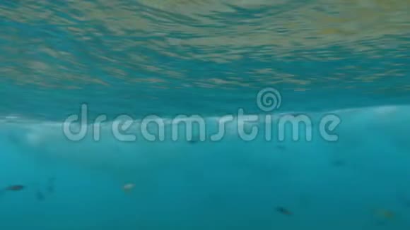 水下4K强海浪视频说明冲浪水上运动或大自然力量的完美镜头视频的预览图