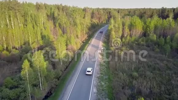 在常绿森林中观赏汽车的现代高速公路视频的预览图