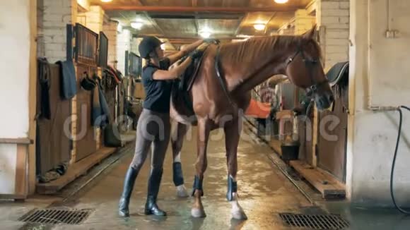女人准备骑马运动员在骑马前移动马鞍视频的预览图
