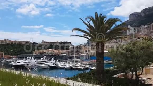 停泊在港口的游艇安静的港口由小的海运导游视频的预览图