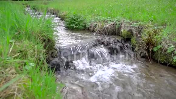 春天美丽的大自然清新的水流在草地之间缓慢流动视频的预览图