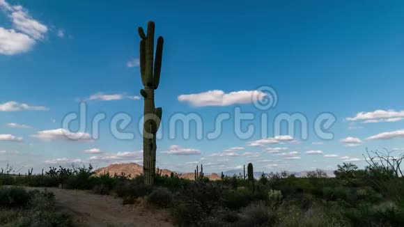 菲尼克斯亚利桑那沙漠时间随着仙人掌和云的流逝视频的预览图