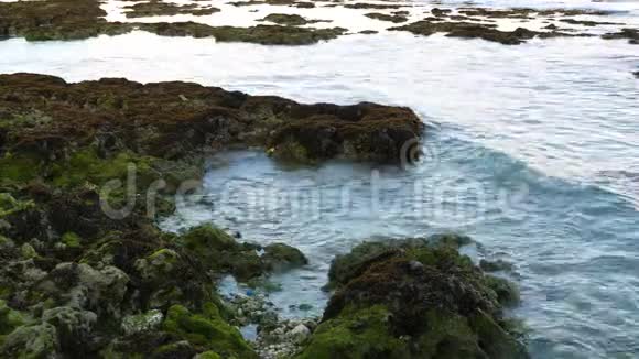 阿莱格里亚海滩靠近视频的预览图