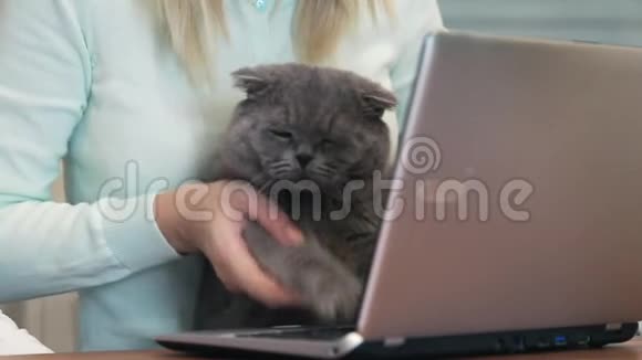猫在笔记本电脑上输入文字视频的预览图