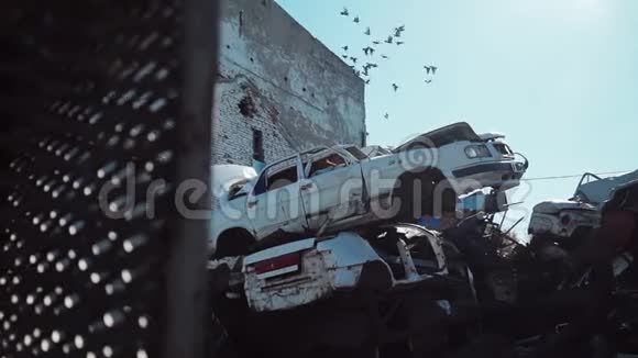 金属废料场上的汽车鸟儿在天空中飞翔视频的预览图