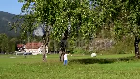 果园里摘苹果的小女孩视频的预览图