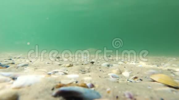 带沙海床的水下海景视频的预览图