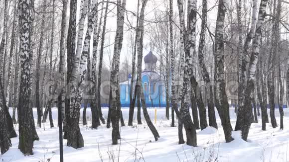 冬天白桦林的蓝色教堂视频的预览图