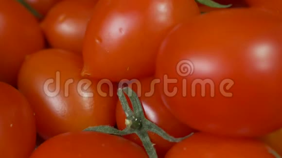 将成熟的新鲜樱桃番茄放入4K中视频的预览图