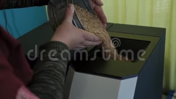 在农业实验室劳动者将小麦颗粒倒入分析作物质量的装置中视频的预览图