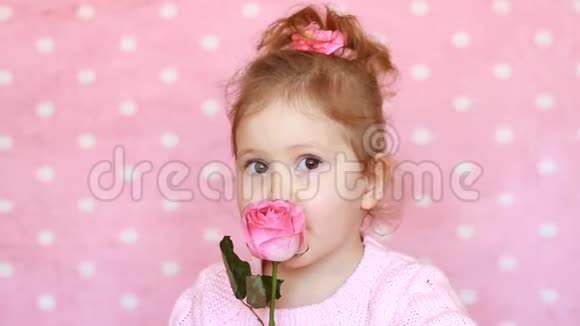 可爱的女孩粉红色背景上有一朵玫瑰肖像快乐宝宝特写视频的预览图