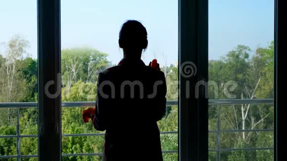 深色轮廓女人戴手套的阴影用清洁剂和抹布喷洒清洁产品清洁窗户视频的预览图