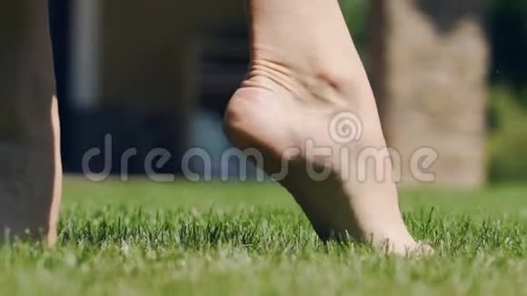 雌足在绿草上小心翼翼地用脚趾头行走慢动作的春天公园视频的预览图
