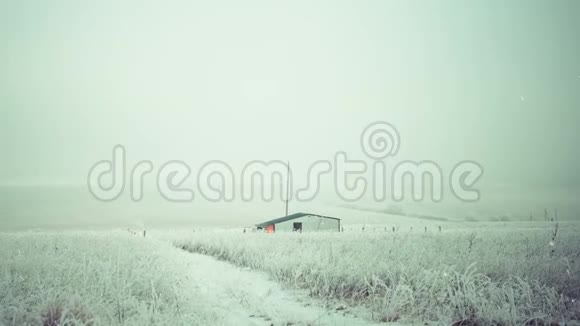降雪的农村冬季农田视频的预览图