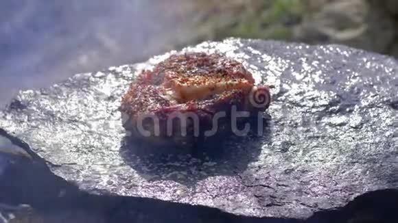 垃圾食品多汁的脂肪猪肉锉香料热石上煎篝火与自然露营地的烟雾视频的预览图