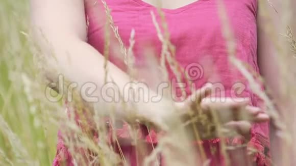 女性穿着简单的衣服抚摸小麦黑麦耳朵女性用手触摸庄稼视频的预览图