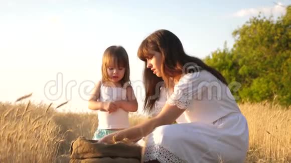 孩子手里的小麦母亲和小孩正在麦田里玩袋子里的谷物女婴视频的预览图