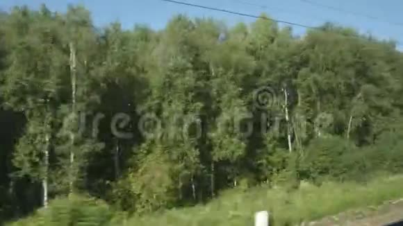 高速列车在夏天经过一棵树视频的预览图