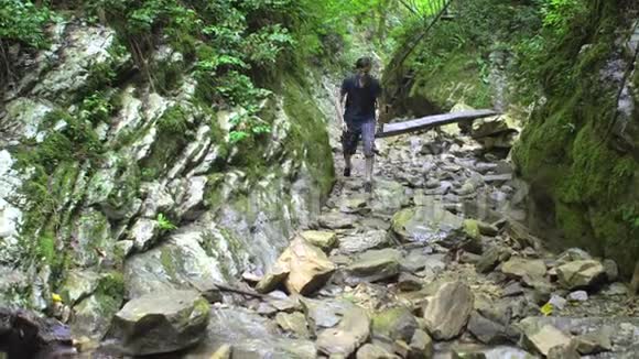 旅行者在森林中的山溪上从石头移动到石头视频的预览图