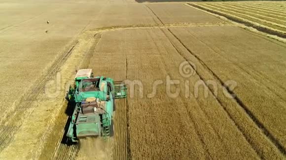 空中无人机镜头联合收割机收割小麦收割粮田视频的预览图