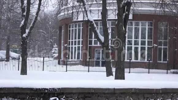 降雪在城市里视频的预览图