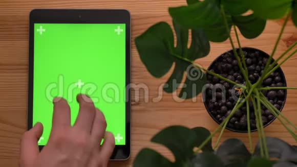 特写的顶镜头直立的平板和手触摸绿色屏幕与木制桌子和植物的背景视频的预览图