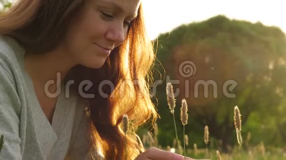 在金色的阳光下女人触摸田野上的草的肖像视频的预览图