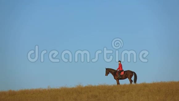 女孩骑着马飞奔慢动作视频的预览图