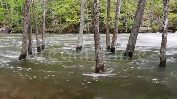 泛滥的小溪环路视频的预览图