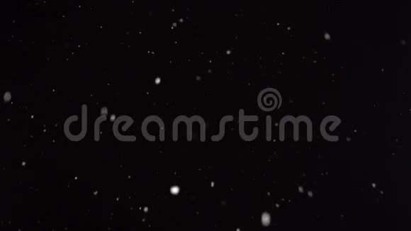 雪在夜里落下视频的预览图