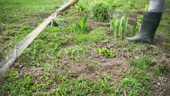 农夫在春天的花园里用耙子从干草上清理草坪农业和农业视频的预览图