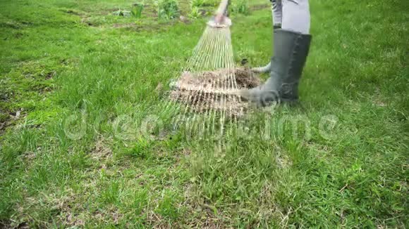 农夫在春天的花园里用耙子从干草上清理草坪农业和农业视频的预览图