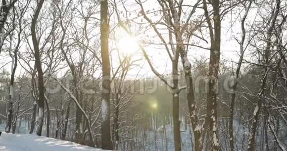 戈梅尔白俄罗斯阳光明媚的冬季雪城公园里覆盖着雪视频的预览图