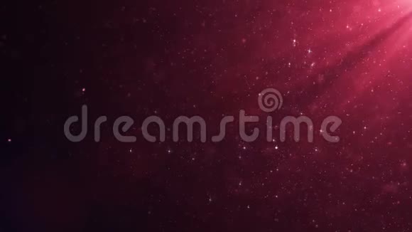 美丽的粉红色漂浮尘埃粒子与闪光在黑色背景上缓慢运动动态三维动态动画视频的预览图