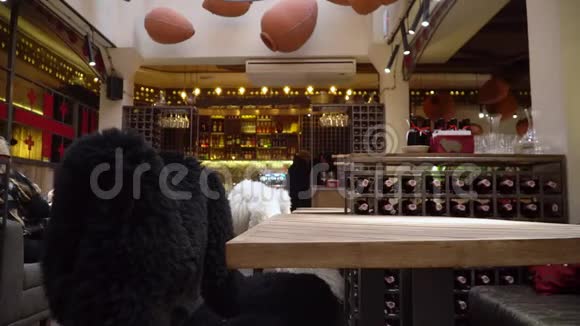 格鲁吉亚温馨餐厅内部模糊的画面桌面上有女服务员和客人的自由空间视频的预览图