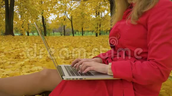 穿红袄的白种人年轻女子正在秋天公园的笔记本电脑上用黄树打字视频的预览图