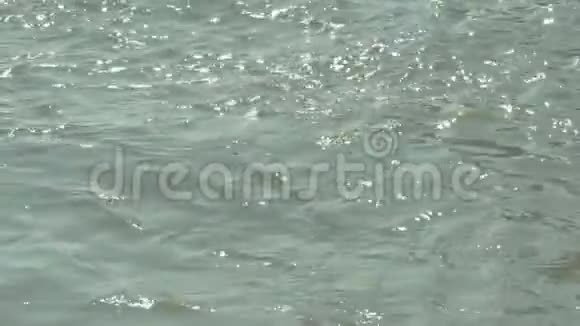 河水中波浪的缓慢运动场景河面上闪耀的阳光视频的预览图