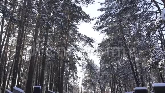阳光明媚的霜天公墓冬天教堂墓地视频的预览图