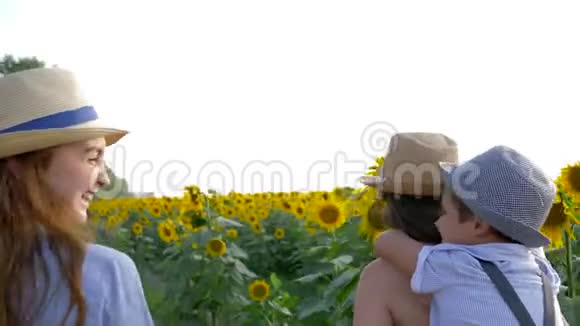 向日葵田里的一家人戴着草帽的弟妹一起在夏天的户外散步视频的预览图
