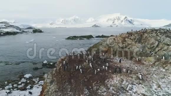 登图企鹅群站在岩石山空中视频的预览图
