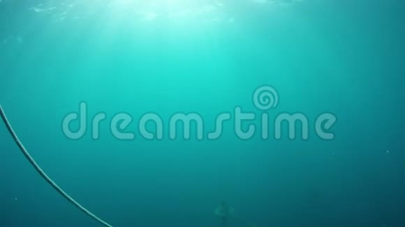 水下潜水工具视频的预览图