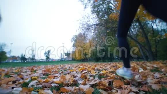 在秋天的公园里年轻的适合女人从镜头前逃跑视频的预览图