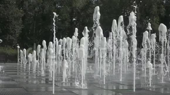 高尔基文化休闲中央公园光器喷泉高尔基文化休闲中央公园光器喷泉视频的预览图
