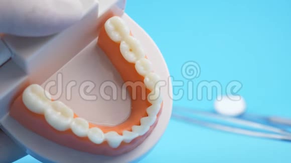 医生为牙医检查牙龈和牙齿的教学模式视频的预览图