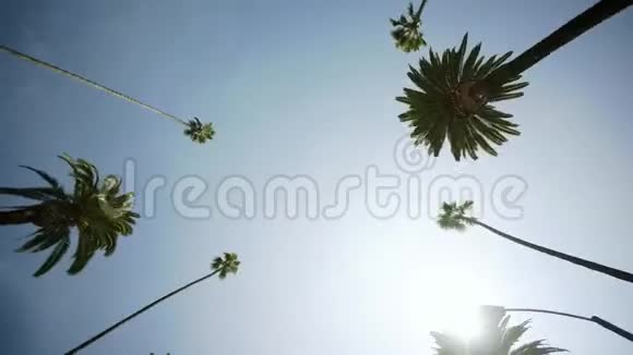 驶过比佛利大道上的棕榈树蓝色的天空泛着阳光比佛利山视频的预览图