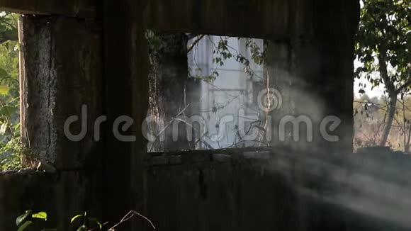废弃的旧建筑中的白烟慢动作视频视频的预览图