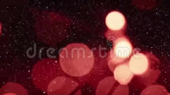圣诞动画和明亮的红色圣诞灯视频的预览图